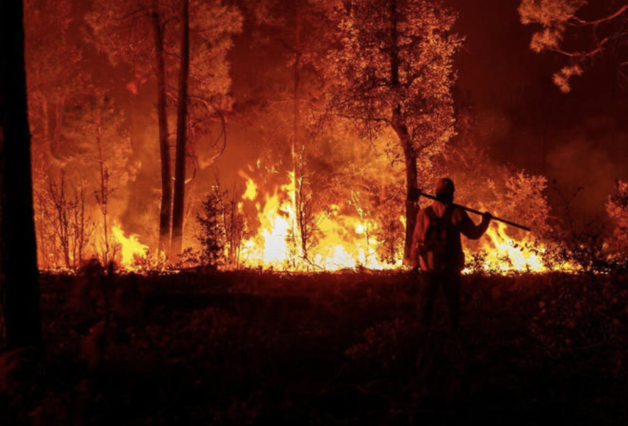 BRIGADISTAS LUCHAN PARA EXTINGUIR INCENDIOS FORESTALES QUE AFECTAN 25 MIL HECTÀREAS EN CHIHUAHUA